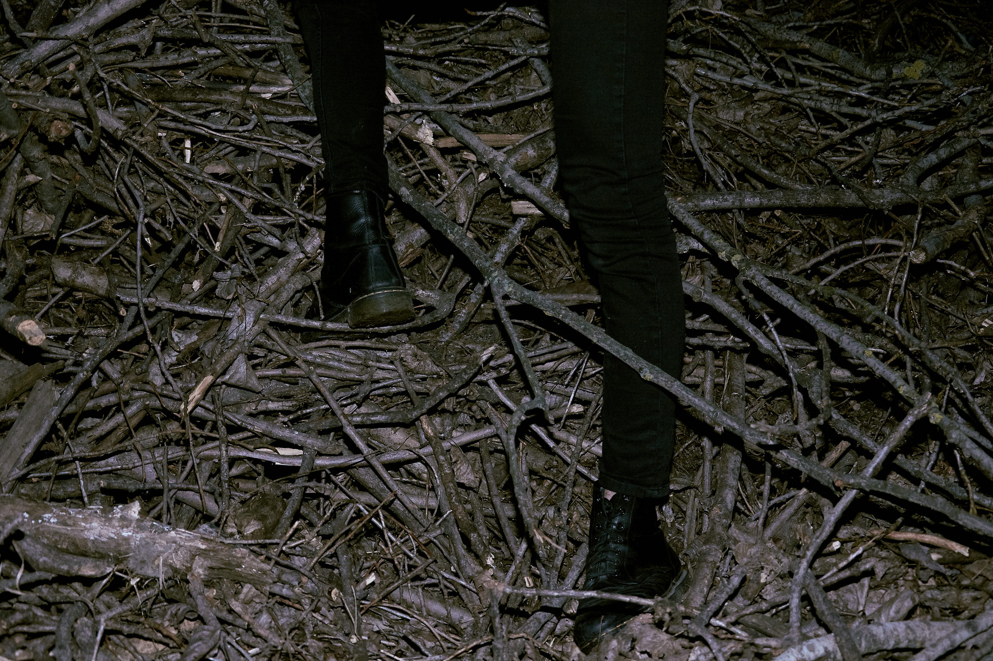 In The Woods - Photography Project by Andrea Antonacci